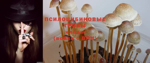 скорость Алексин