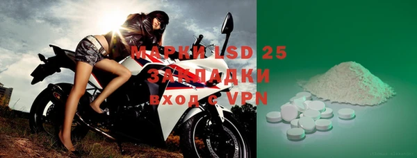 ECSTASY Алзамай