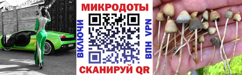 купить  сайты  Котельники  ссылка на мегу   Галлюциногенные грибы мицелий 