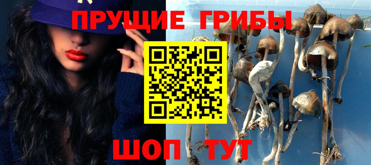 Галлюциногенные грибы Cubensis  Вход с VPN  Котельники 